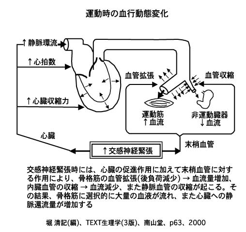 血圧 低 運動 後