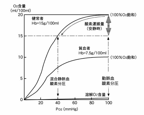 圧 分 動脈血 酸素 ガス交換