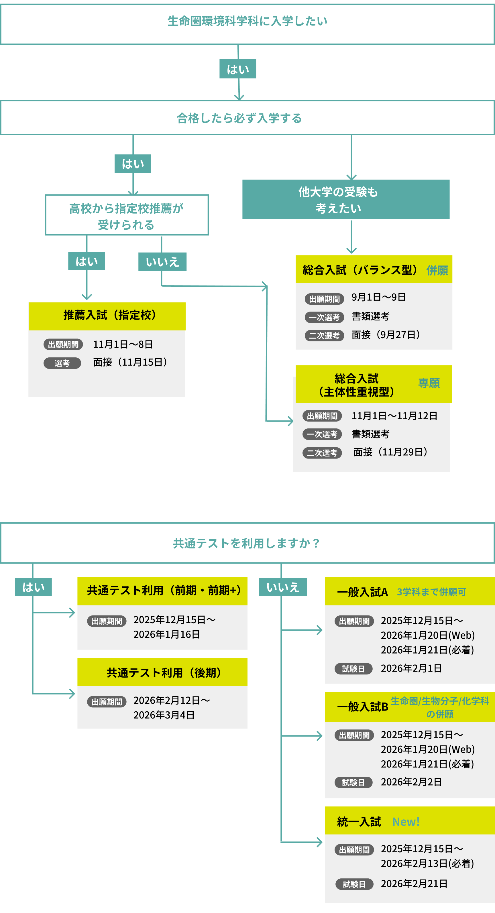 2026年度入試日程チャート
